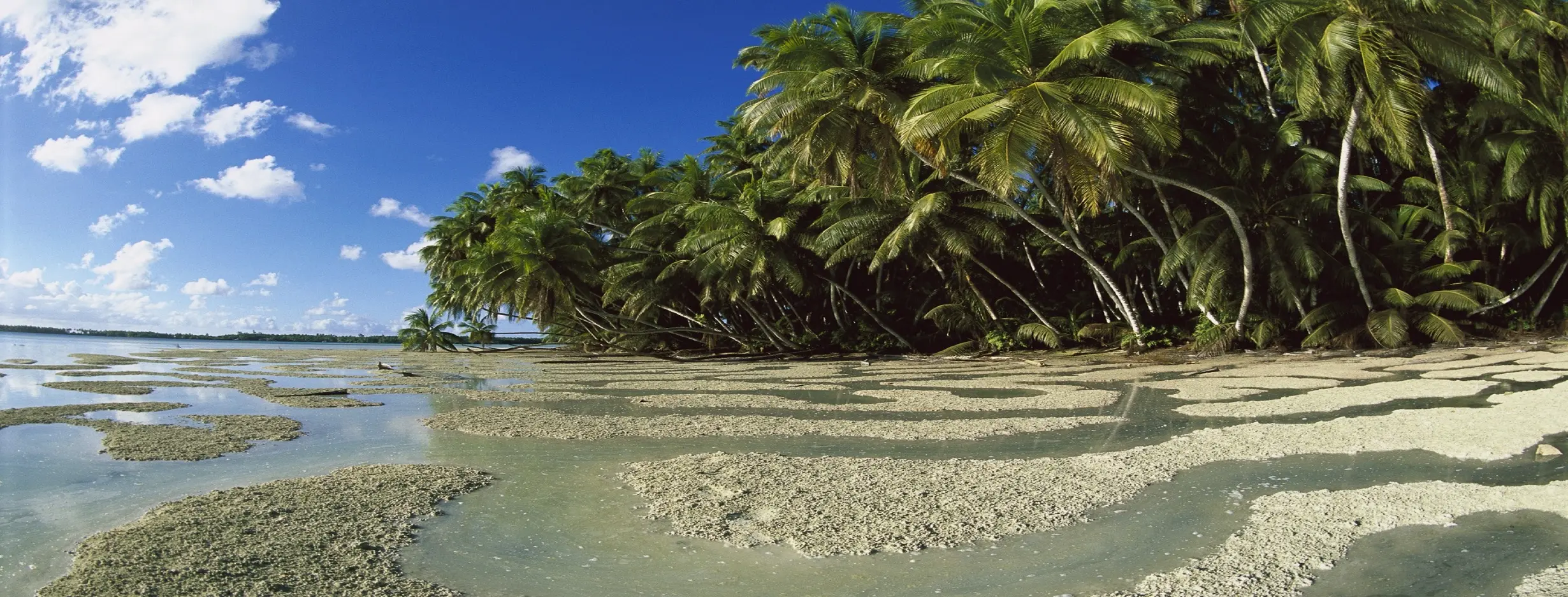 Image for Palm Island Nature Reserve